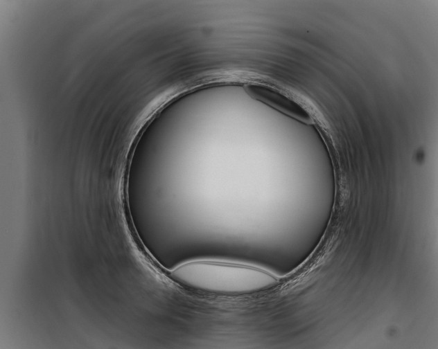X0000100850946200806200759