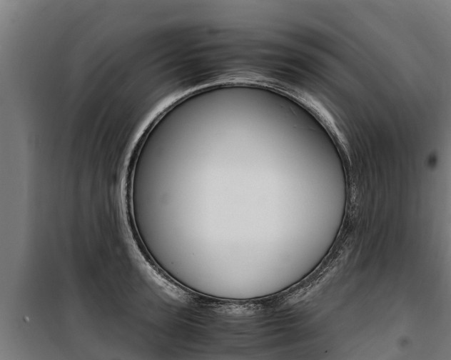X0000100850947200806200759