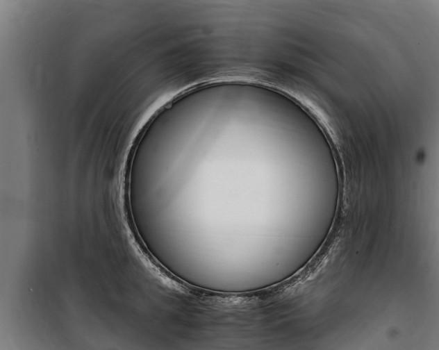 X0000100850949200806200759