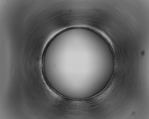 X0000100850951200806200759