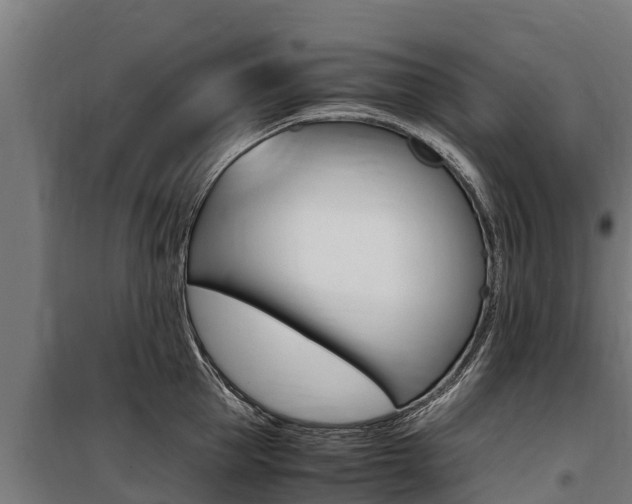 X0000100850953200806200759