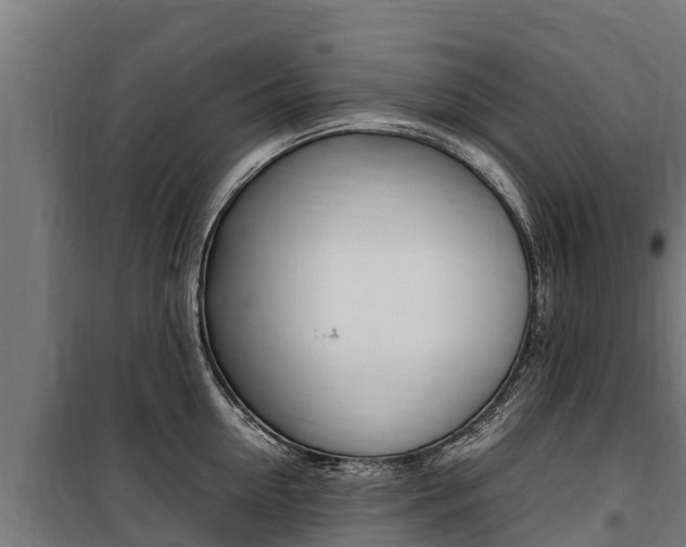 X0000100850954200806200759