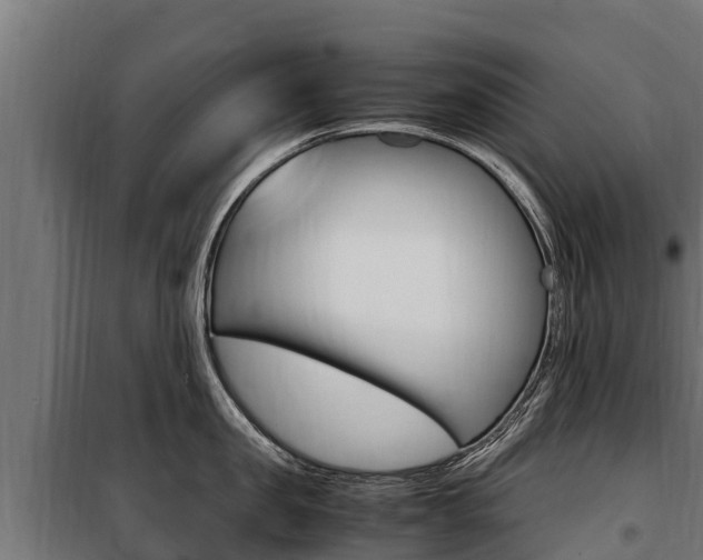 X0000100850957200806200759