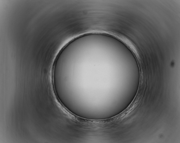 X0000100850958200806200759