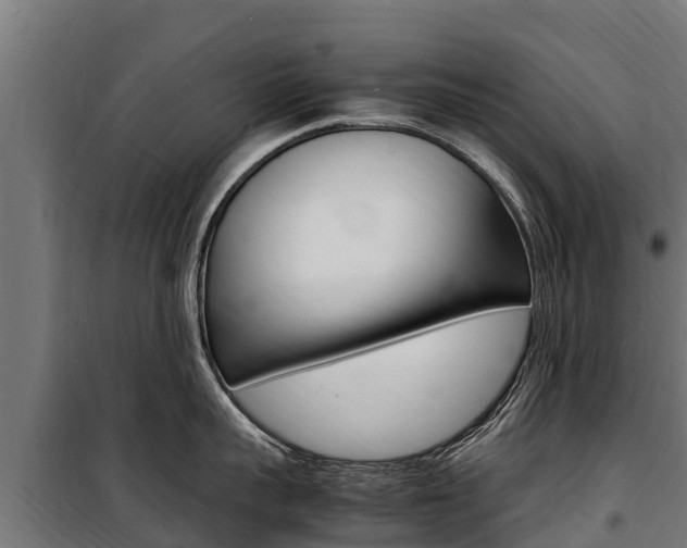 X0000100850959200806200759