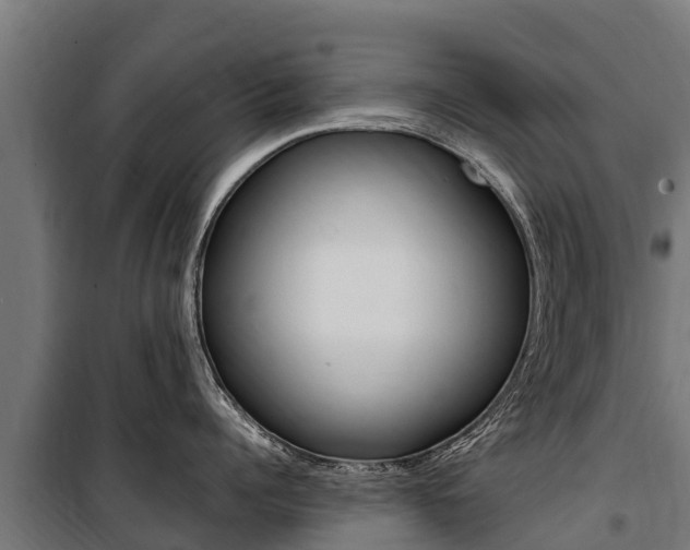 X0000100850960200806200759