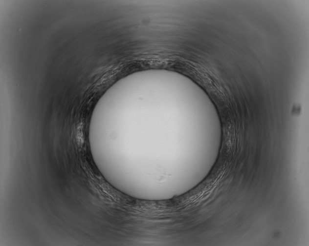 X0000100850962200806200758
