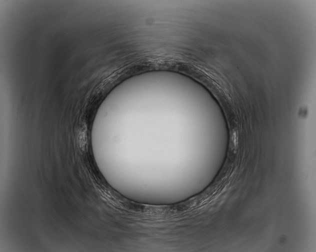 X0000100850963200806200758