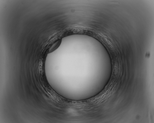 X0000100850964200806200758