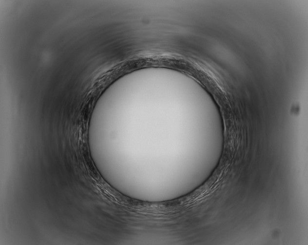X0000100850966200806200758