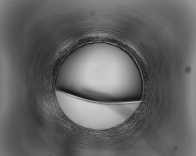 X0000100850967200806200758