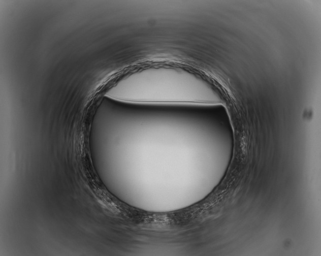 X0000100850968200806200758