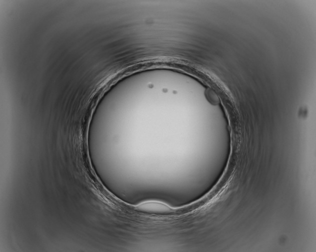 X0000100850969200806200758