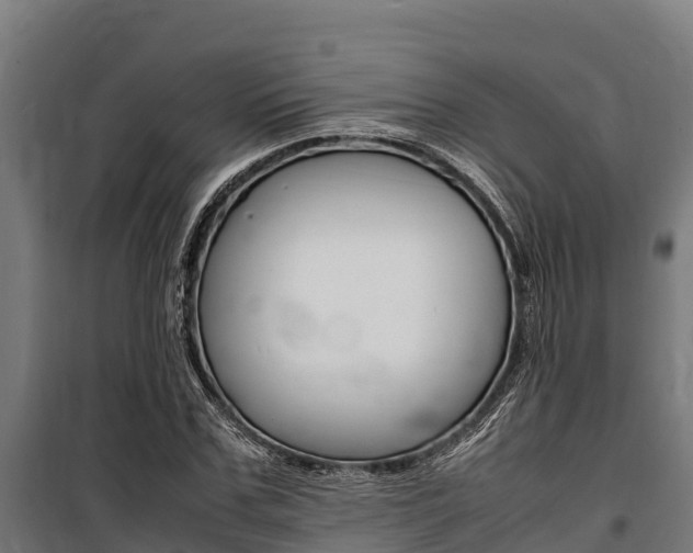 X0000100850971200806200758