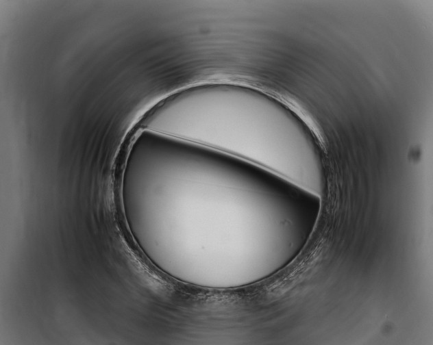 X0000100850972200806200758