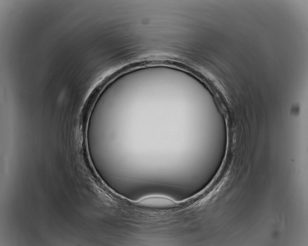 X0000100850973200806200758