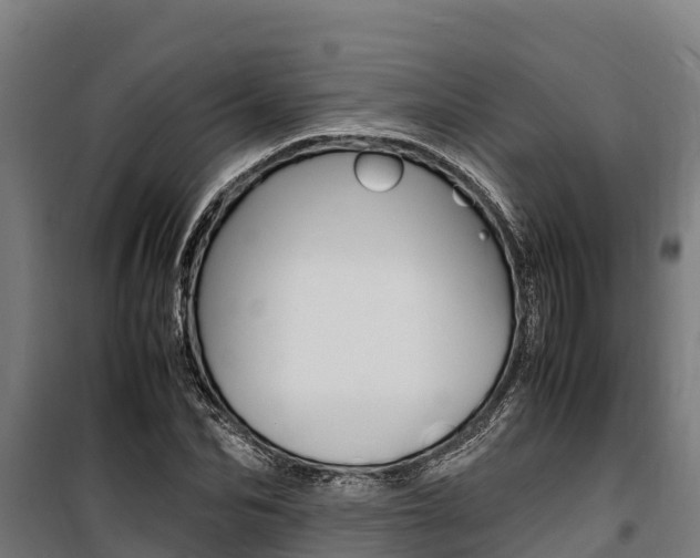 X0000100850974200806200758