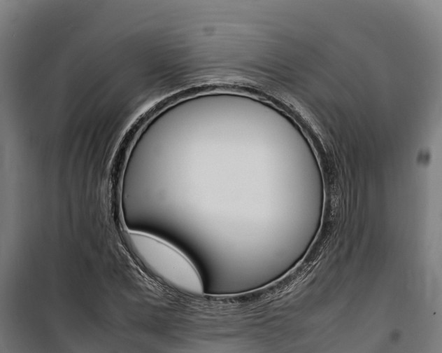 X0000100850975200806200758