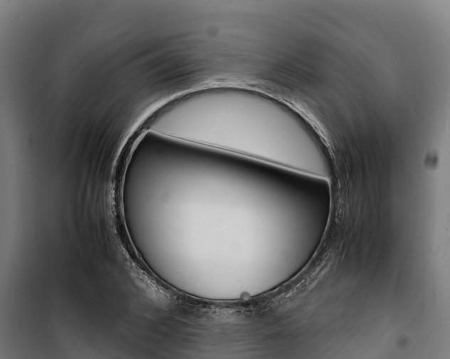 X0000100850976200806200758