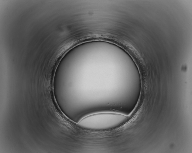 X0000100850977200806200758