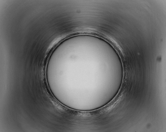 X0000100850978200806200758
