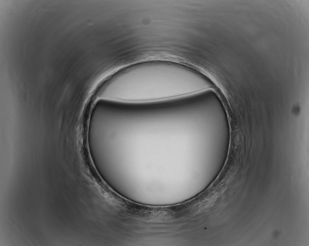X0000100850979200806200758