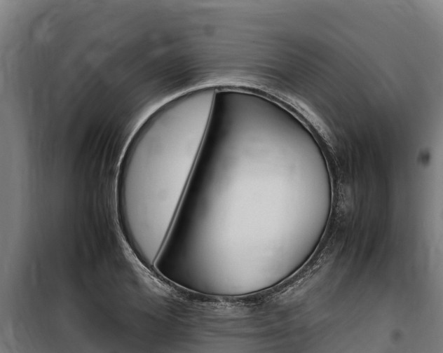 X0000100850980200806200758