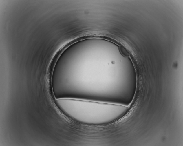 X0000100850981200806200758