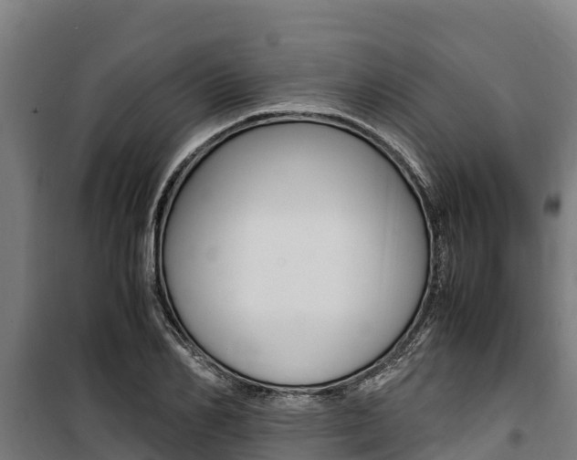 X0000100850982200806200758
