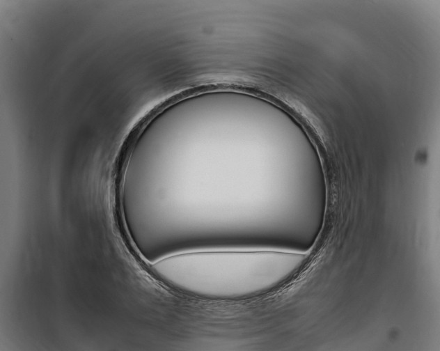 X0000100850983200806200758