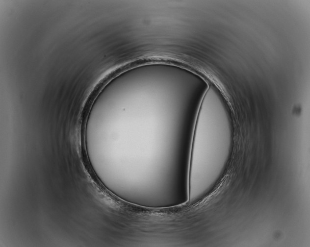 X0000100850984200806200758