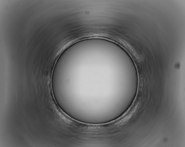 X0000100850985200806200758