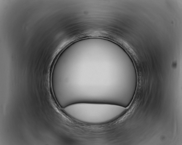X0000100850986200806200758