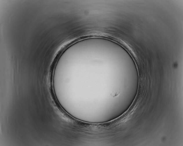 X0000100850987200806200758