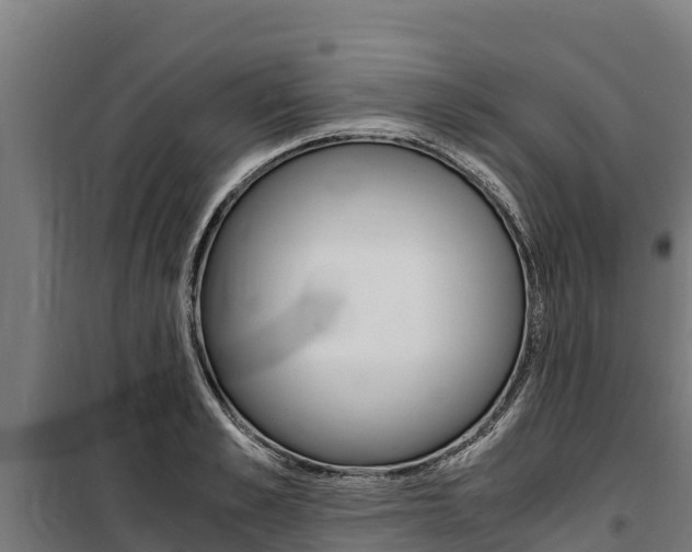 X0000100850989200806200758
