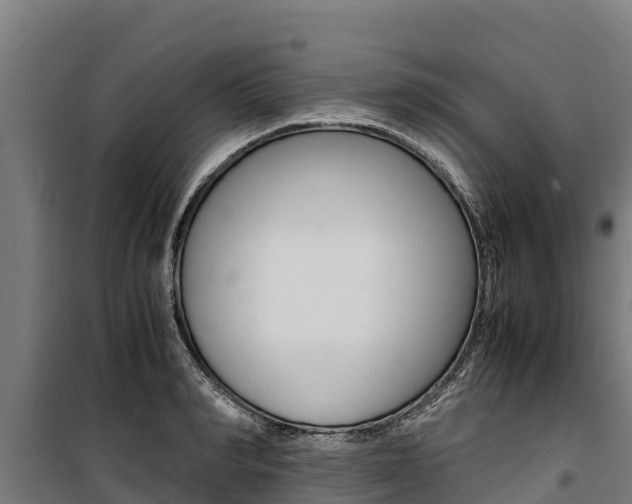 X0000100850990200806200758