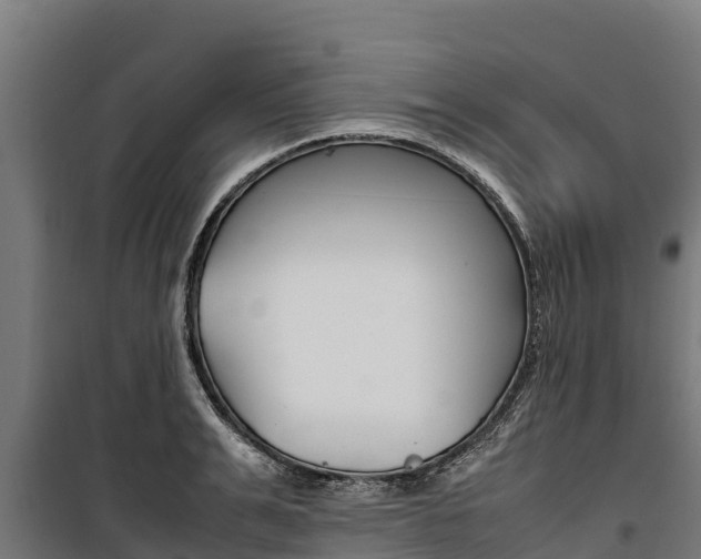X0000100850991200806200758