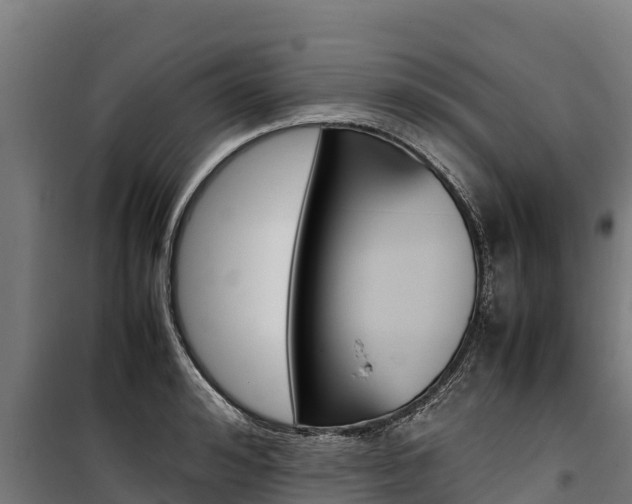 X0000100850992200806200758