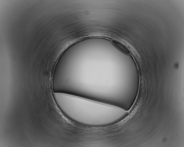 X0000100850993200806200758