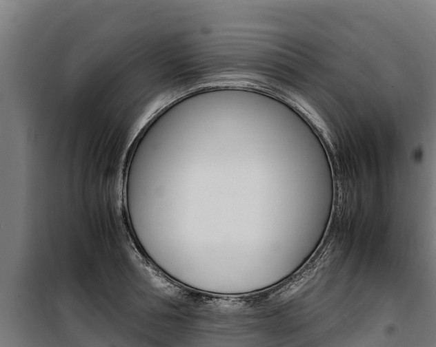 X0000100850994200806200758