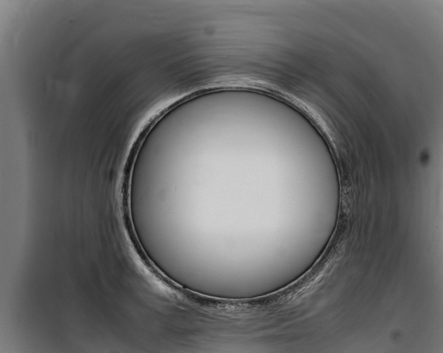 X0000100850995200806200758
