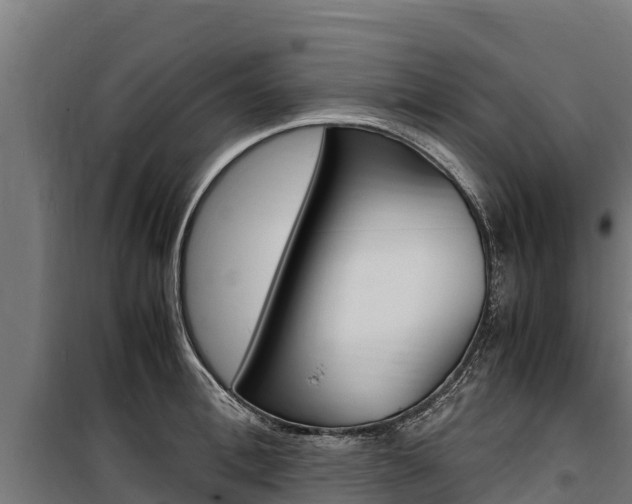 X0000100850996200806200758