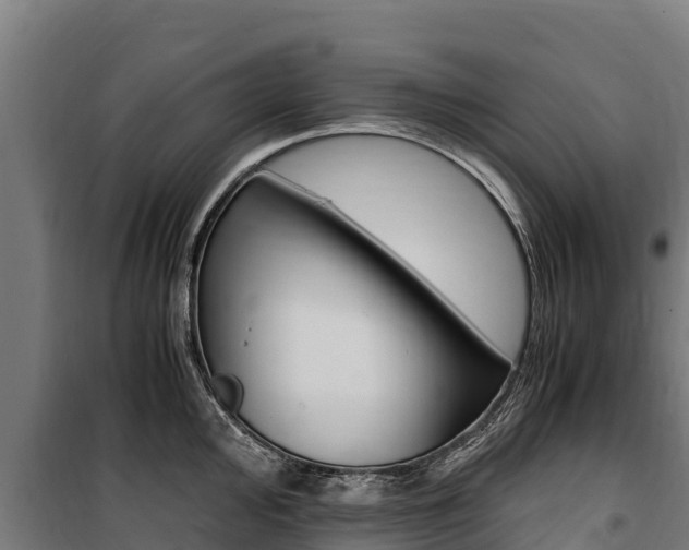 X0000100851000200806200757