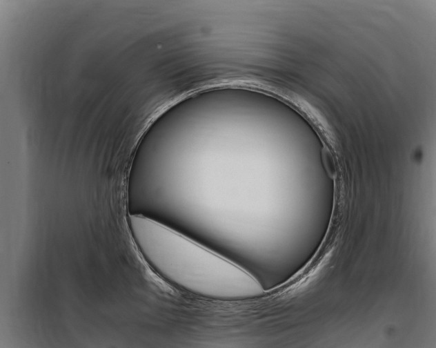X0000100851001200806200757