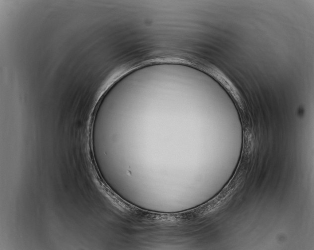 X0000100851002200806200757