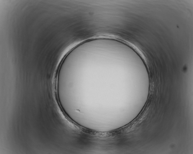 X0000100851003200806200757