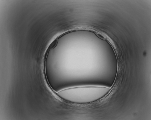 X0000100851005200806200757