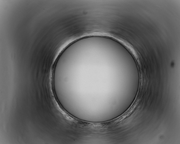 X0000100851006200806200757