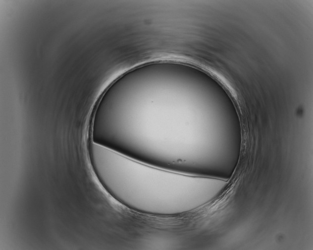 X0000100851007200806200757