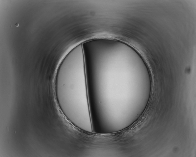 X0000100851008200806200757